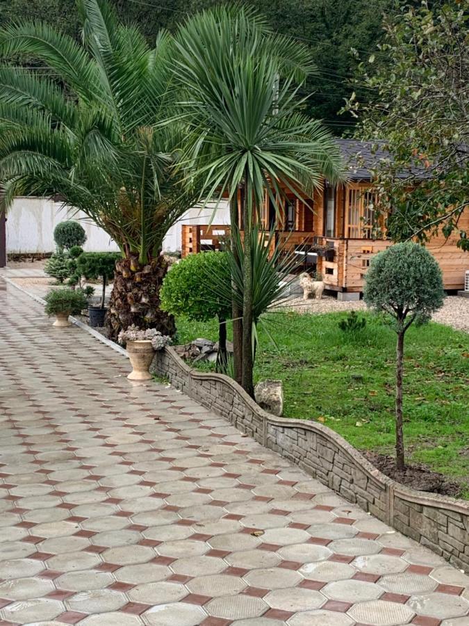 Olginka Villa Gagra Exterior foto